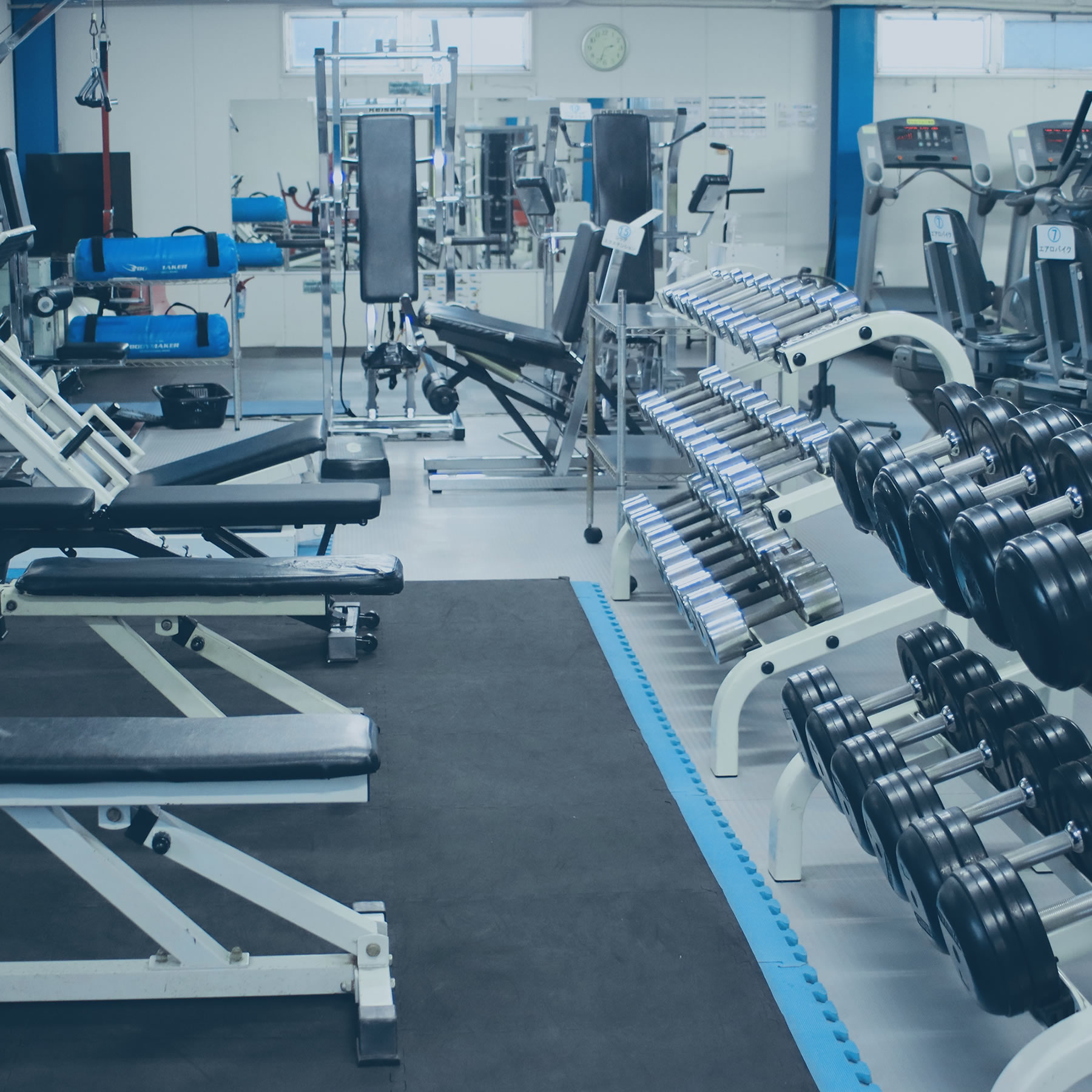 スポーツジムフェニックス PCイメージ写真1